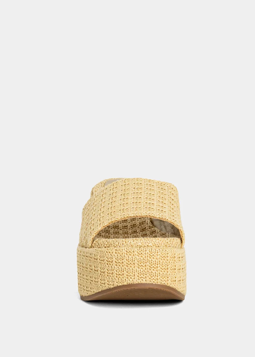 Shu Shop Ivy