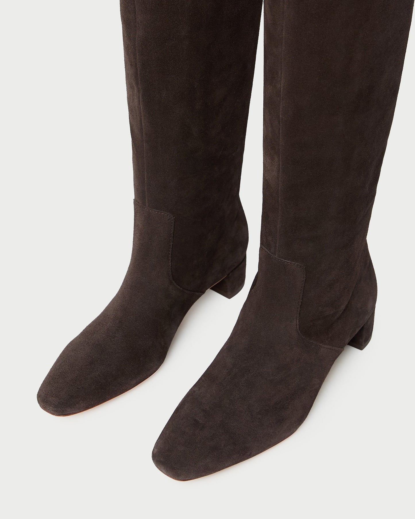 Indy Brown Suede Tall Boot