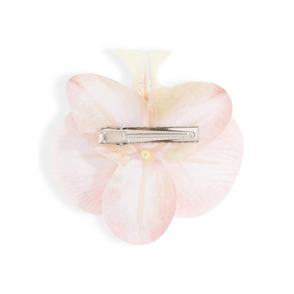 Orchid Flower Cream